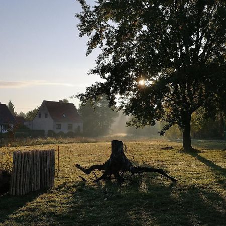 Ferienwohnung & Campingplatz Vor Dem Berg Heideblick المظهر الخارجي الصورة