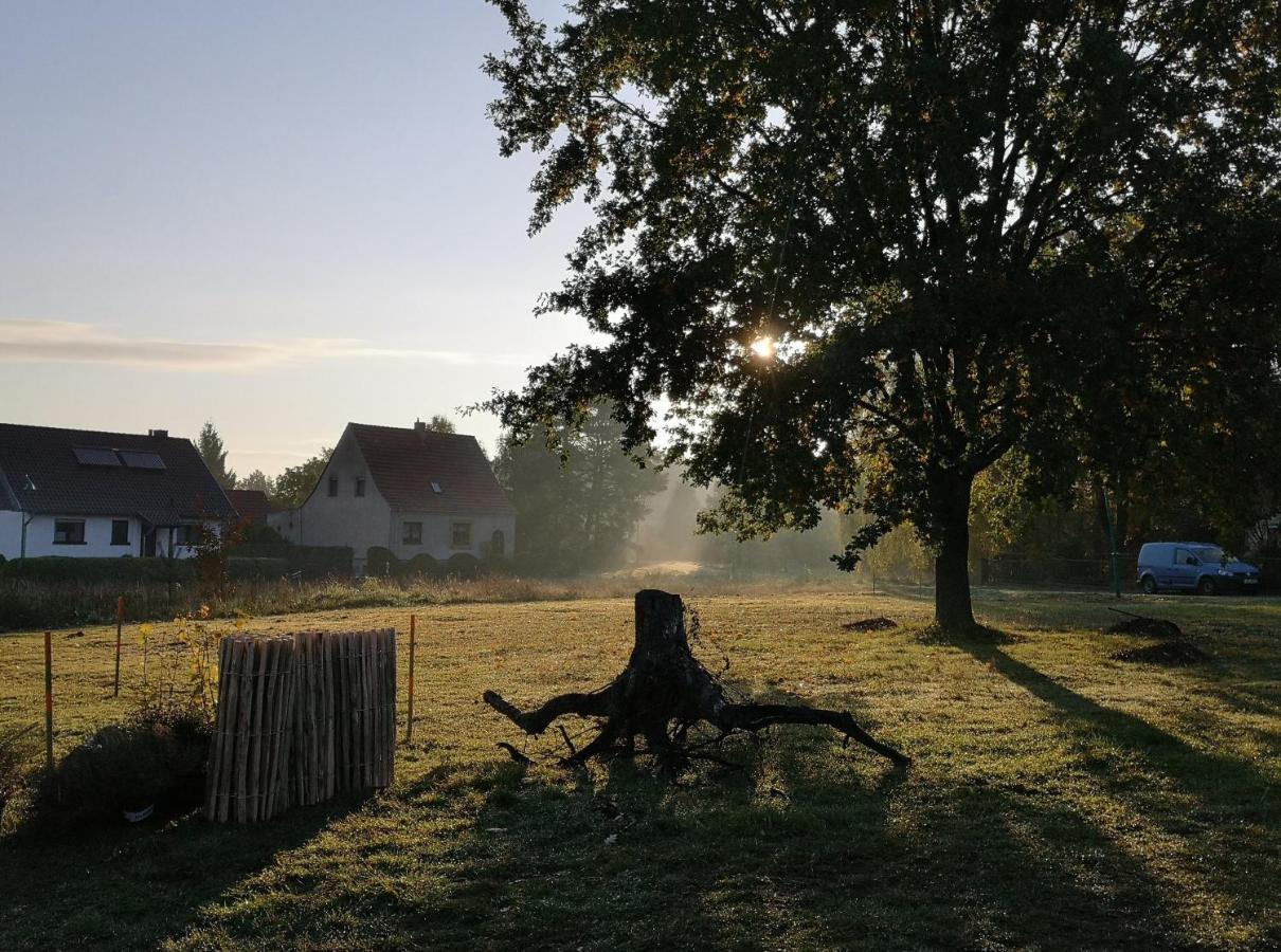 Ferienwohnung & Campingplatz Vor Dem Berg Heideblick المظهر الخارجي الصورة