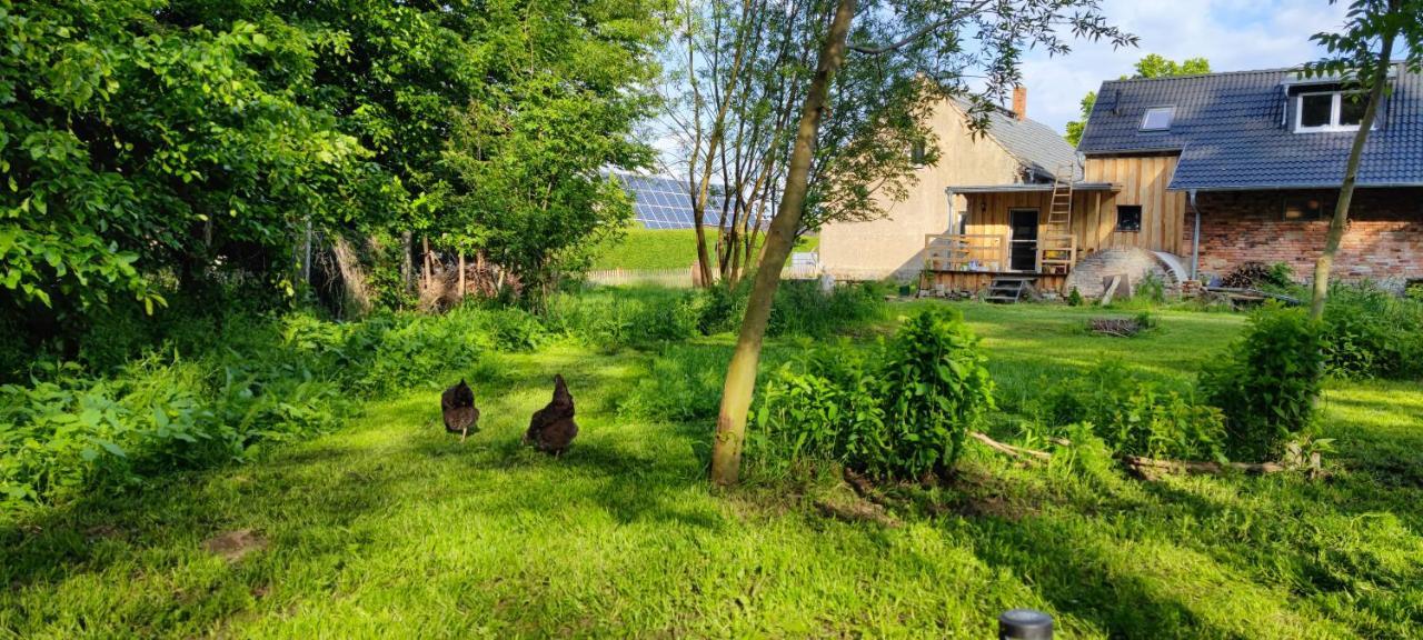 Ferienwohnung & Campingplatz Vor Dem Berg Heideblick المظهر الخارجي الصورة